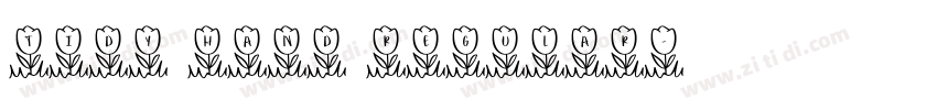 Tidy Hand Regular字体转换